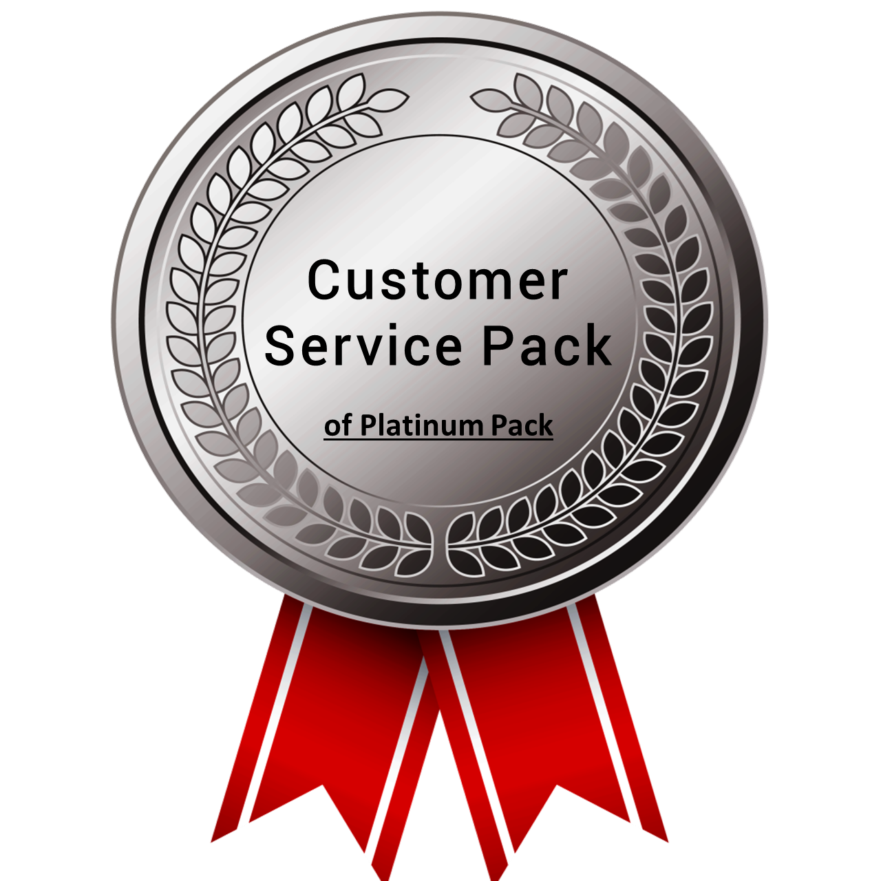 Customer Service Pack - Platinum Pack - Ready made soft skills training ppt